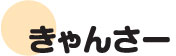 きゃんさー